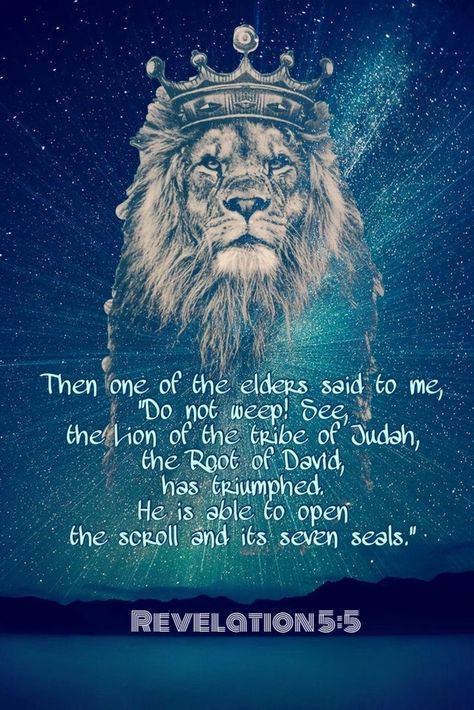 Rastafari Quotes, Quote Videos, God Wins, Bible Videos, Lion Of Judah Jesus, Revelation 5, Leo Quotes, Praise Be, Lion Quotes