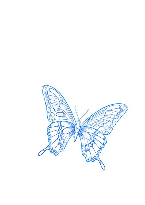 Blue Outline Butterfly Tattoo, Butterfly Drawing Aesthetic Wallpaper, Blue Outline Tattoo, Colombian Tattoo Ideas For Women, Blue Linework Tattoo, Half A Butterfly Wing Tattoo, Blue Morpho Butterfly Tattoo, Blue Butterfly Drawing, Butterfly Tattoo Outline