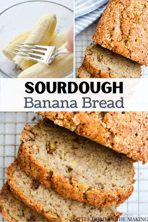 This easy sourdough banana bread recipe is simple to make, yet big on flavor. If you're looking for sourdough quick breads, sourdough breakfast, snacks, or even desserts, banana bread has got you covered! Slightly sweet, but deliciously hearty, it's pure perfection when spread with some softened butter. If you're looking for sourdough discard recipes to use up some of that extra sourdough starter, look no further than this recipe for sourdough discard banana bread! Sourdough Banana Bread Recipe, Sourdough Banana Bread, Sourdough Banana, Sourdough Starter Discard Recipe, Homemade Banana Bread, Easy Sourdough, Sourdough Starter Recipe, Sourdough Discard, Sourdough Baking