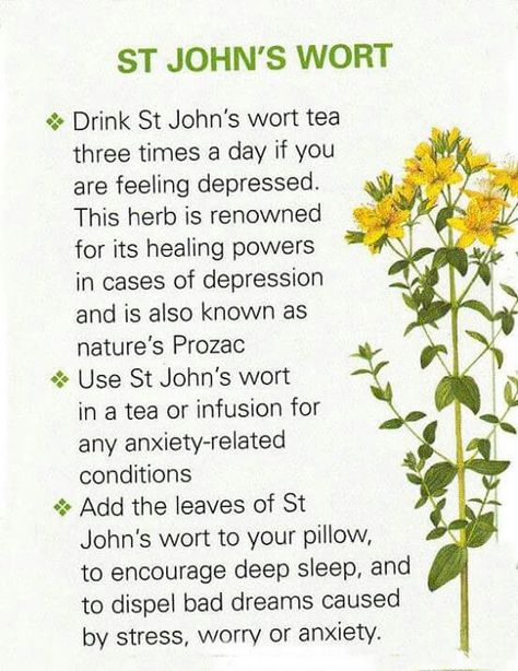 St John's Wort, Medical Herbs, Magia Das Ervas, Magic Herbs, Magical Herbs, Herbal Apothecary, Healing Plants, Herbal Healing, Herbal Magic