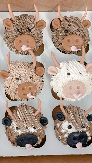 Highland Cow Cupcake Cake, Hiland Cow Cupcakes, Hyland Cow Cupcakes, Hyland Cow Smash Cake, Highland Cow Pull Apart Cupcake, Highland Cow Cupcakes Diy, Highland Cow Cake With Buttercream, Highland Cow Cupcakes, Hyland Cow Cake