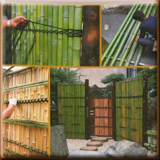 Hawaii Farm, Bamboo Fences, Japanese Fence, Hawaii Landscape, Bamboo Diy, Fence Planters, Fence Plants, Bamboo House Design, Small Fence