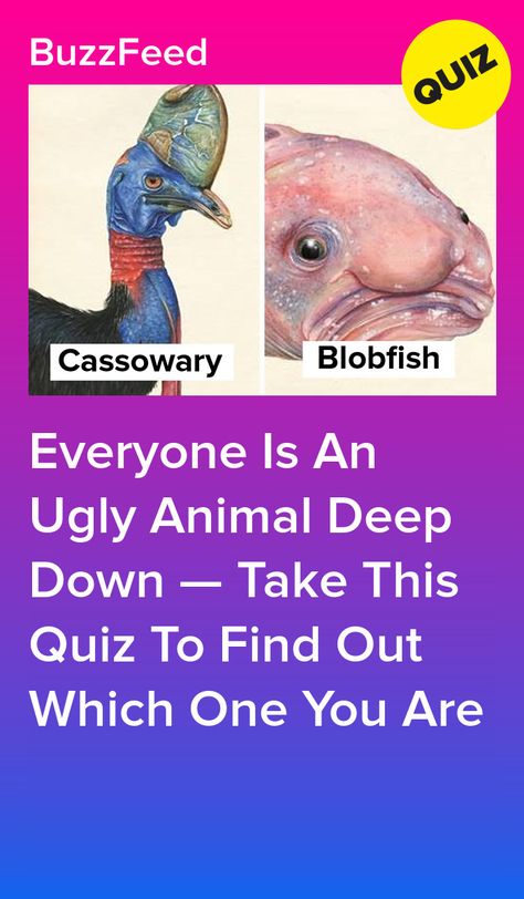 Which Animal Are You Quiz, What Animal Am I Quiz, What Are You Quiz, Ghost Shark, Spirit Animal Quiz, What Animal Are You, Random Quizzes, Quizzes Funny, Playbuzz Quizzes