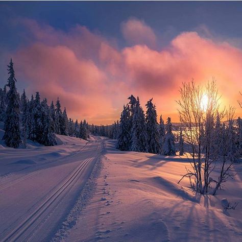 Last winter in Lillehammer 🌅 📷: @jappern Notebook Background, Background Cool, Lillehammer, Winter Sunset, Love Funny, Trondheim, Stavanger, Winter Scenery, Winter Beauty