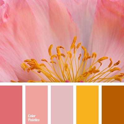 Color Palette #1895 | Color Palette Ideas In Color Balance, Color Cube, Color Palette Ideas, Orange Color Palettes, Color Schemes Colour Palettes, Colour Colour, Warm Palette, Palette Ideas, Color Palette Pink