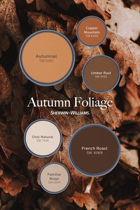 Fall Interior Paint Colors, Sherwin Williams Fall Colors, Fall Paint Colors Sherwin Williams, Cooper Paint Color, Western House Paint Colors, Sherwin Williams Copper Mountain, Sherwin Williams Fall Color Palette, Fall Color Bedroom Ideas, Sherwin Williams Rust Colors