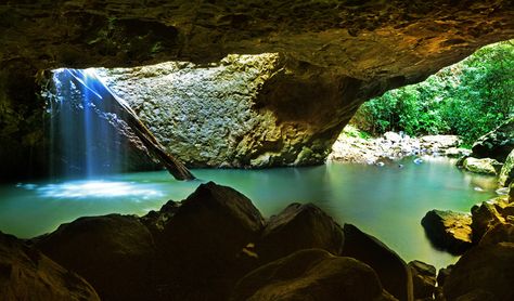 Springbrook National Park, QLD - Australian Geographic Tamborine Mountain, Weekend Escape, Natural Bridge, National Parks Trip, Rock Pools, Travel Stories, Nature Travel, Gold Coast, Queensland