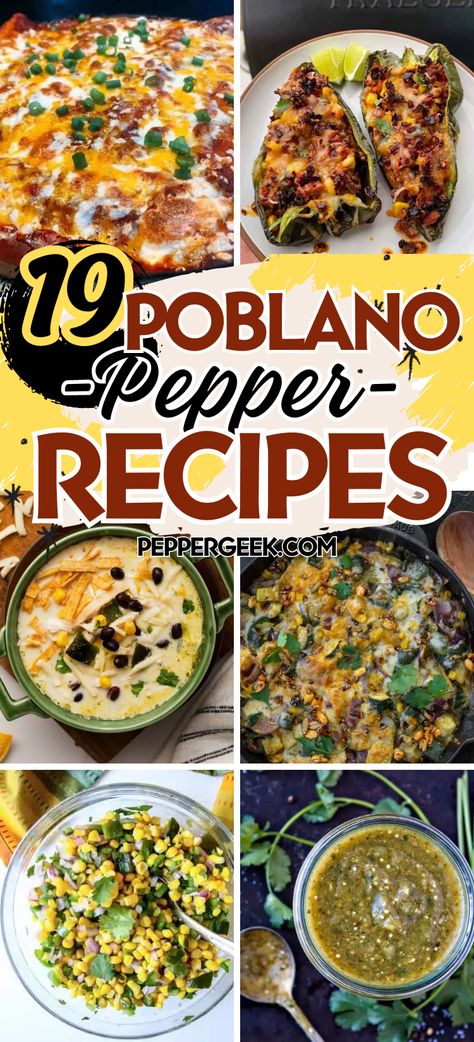 Got poblano peppers? Try one of these delicious recipes to use up your peppers. From stuffed peppers to pepper soup, these poblano pepper recipes are delicious and satisfying. Poblano Chili Recipes, Baked Poblano Peppers, Stuff Pablo Peppers, Pablano Pepper Recipe With Ground Beef, Fresh Poblano Pepper Recipes, Pablona Peppers, Grilled Poblano Pepper Recipes, How To Cook Poblano Peppers, Canned Poblano Pepper Recipes