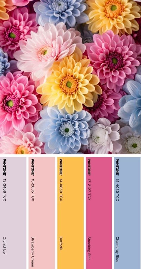 Flowers Colour Palette, Website Design Color Palettes Colour Schemes, Branding Color Palette Colour Schemes, Spring Color Pallet, Pantone Flower, Floral Colour Palette, Color Palette Pantone, Analogous Color Palette, Pantone Color Palette