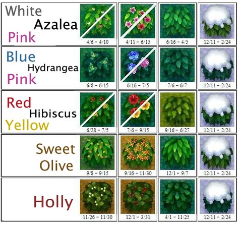 AC: New Leaf Bush Chart Acnl Paths, Azalea Bush, Animal Crossing Wiki, Motif Acnl, Flowering Bushes, Ac New Leaf, Animal Crossing 3ds, Animal Crossing Guide, Yellow Hibiscus