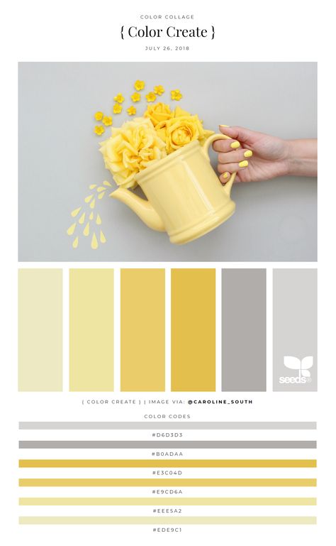 Classic Yellow & Gray pallet Gray Color Palette, Seeds Color, Yellow Palette, Grey Palette, Yellow Colour Scheme, Color Palette Yellow, Yellow Room, Color Schemes Colour Palettes, Grey Color Palette