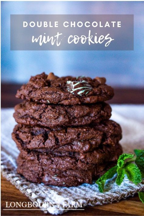 Image shows 4 chocolate cookies stacked on top of each other with mint leaves next to them. Mint Chip Cookies, Christmas Food Crafts, Chocolate Christmas Cookies, Mint Chocolate Chip Cookies, Chocolate Mint Cookies, Holiday Cookie Exchange, Double Chocolate Chip Cookies, Double Chocolate Cookies, Mint Cookies