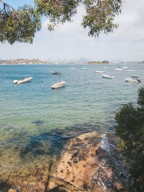 Rose Bay Sydney, Watsons Bay Sydney, Rose Bay, Swimming Lessons, Harbour Bridge, Sydney Harbour, Secluded Beach, 2025 Vision, Swim Lessons