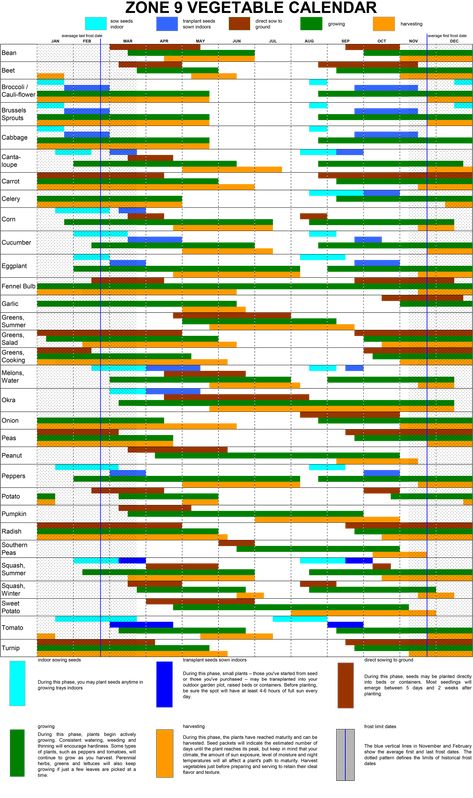 Spring Planting Guide, Fall Planting Guide, Planting Zones Map, Zone 9 Gardening, Vegetable Planting Calendar, Fall Vegetables To Plant, Zone 9b, Plant Vegetables, When To Plant Vegetables