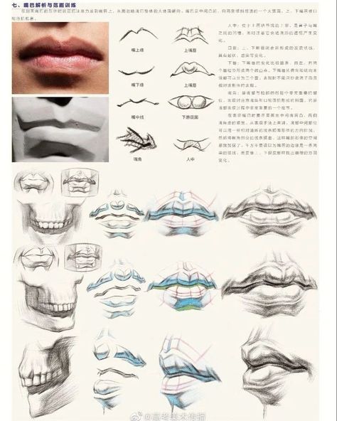 Art tutoraial. This part: portrait #arttutorial #eyedrawing #artteachersofinstagram #artcollector #artcollective #structural… | Instagram Mouth Structure, Head Anatomy, Drawing Study, Facial Anatomy, Academic Drawing, Portrait Tutorial, Face Anatomy, Life Drawing Reference, 2023 Art