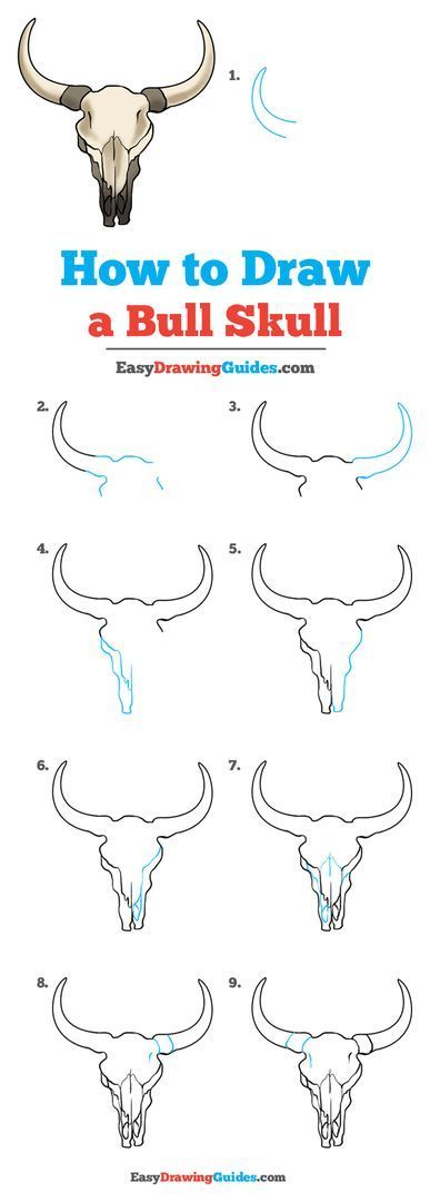 Learn to draw a bull skull. This step-by-step tutorial makes it easy. Kids and beginners alike can now draw a great looking bull skull. How To Draw Tattoos Step By Step, Western Drawings Easy, Surface Drawing, Bull Skull Tattoos, Blending Colored Pencils, Drawing Instructions, Longhorn Skull, Drawing Lesson, Skulls Drawing