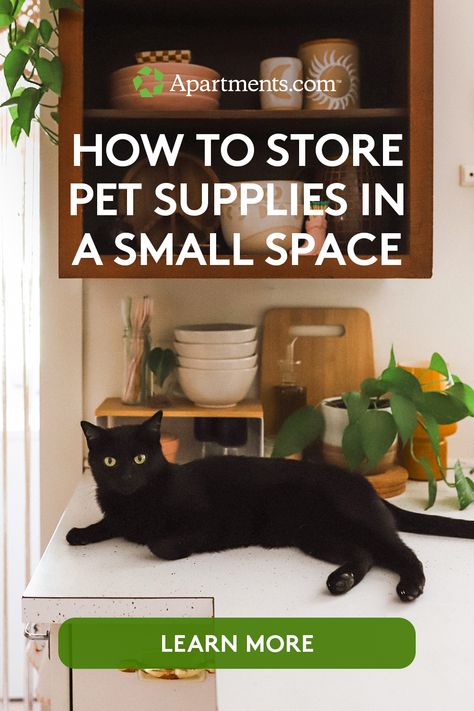 Click through to check out our tips for organizing pet supplies in your compact apartment. Pet Supplies Organization Ideas, Pet Supply Storage Ideas, Organizing Cat Supplies, Organize Pet Supplies, Renter Hacks, Pet Supplies Organization, Compact Apartment, Stroller Storage, Apartment Pet