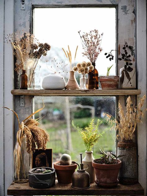 43 Shelf Decor Ideas to Help You Style Yours Like a Pro Cottage Core Coffee Bar, Cottagecore Pantry, Kitchen Alter, Cottagecore Decor Ideas, Botanical Kitchen, Fall Cottage, Cottage Core Decor, Kitchen Post, Decor Shabby Chic