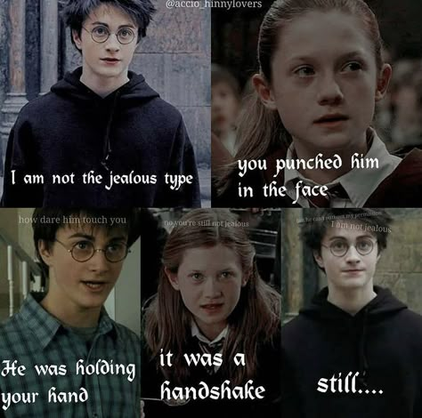 Hinny Memes, Harry Potter Ginny, Fandom Quotes, Funny Harry Potter Jokes, Harry And Ginny, Harry Potter Memes Hilarious, Harry Potter Puns, Harry Potter Artwork, Harry Potter Headcannons