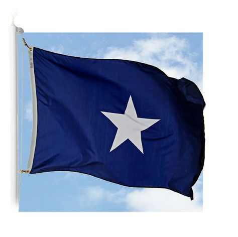 The Bonnie Blue Flag.  The first recorded use of this flag (typically with a white star) was in 1810 when it was used to represent the Republic of West Florida. It was also used by the Republic of Texas from 1836-39.  It was used for a short time in 1861 by the Confederate States, although it was never an official flag of the Confederacy. Bonnie Blue, Republic Of Texas, Southern Heritage, Blue Flag, Old Glory, White Star, How Many People, African Culture, The Republic