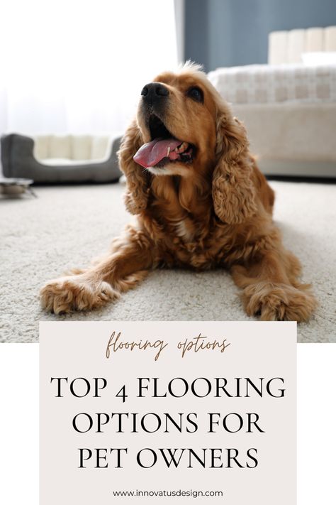 Pet Friendly Carpet Ideas, Dog Flooring Ideas, Dog Proof Flooring, Diy Pet Friendly Floor Cleaner, Durable Flooring Ideas Pets, Best Carpet For Pets, Best Wood Floors For Dogs, Best Flooring For Dogs, Best Floors For Dogs