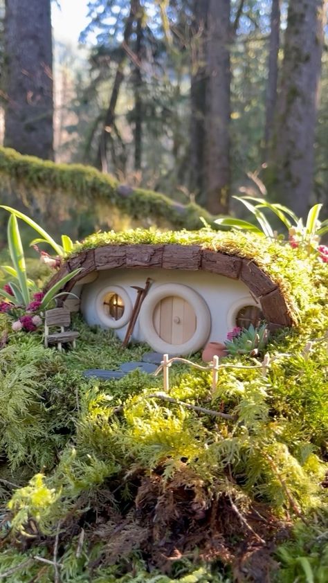 Maryinthefairyland | How about a hobbit house with a solar roof covered in living moss? How long do you think it will live? I’m very excited to see the result.... | Instagram Hobbit Terrarium, Garden Kaleidoscope, Hobbit Houses Diy, Solar Fairy House, Bio Materials, Recycled Jars, Fairy Village, Homemade Clay, Fairy House Diy