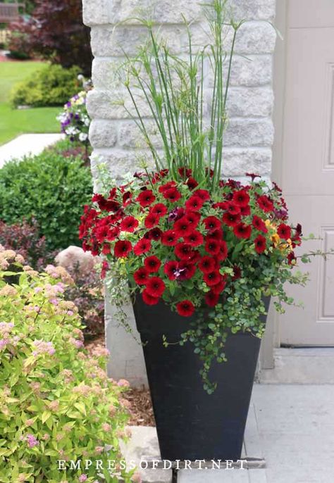 Give the front of your house a boost with these planter ideas. With photos from home gardens, there are lots of inexpensive ways to add colorful container plants including window boxes. Zuppa Toscana Soup Olive Garden, Front Porch Flower Pots, Front Porch Flowers, Porch Plants, Tanaman Pot, Patio Flowers, Front Gardens, Porch Flowers, Container Garden Design