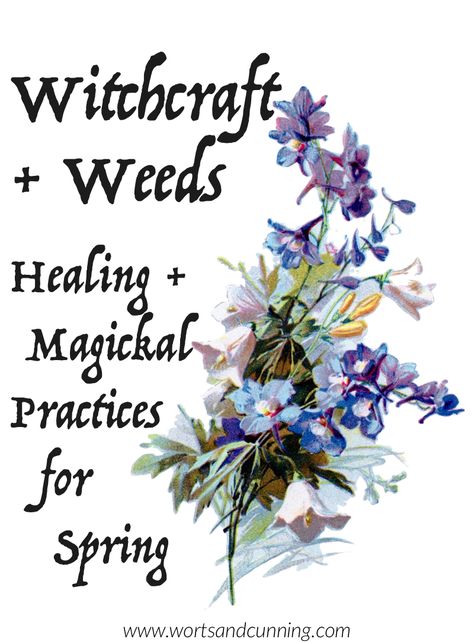 Witchcraft + Weeds: Healing + Magickal Practices for Spring — Worts + Cunning Apothecary | Intersectional Herbalism + Magickal Arts Wiccan Tools, Celtic Witchcraft, Plant Magick, Pagan Books, Witchcraft Healing, Magickal Herbs, Witch Herbs, Green Witchcraft, Traditional Witchcraft