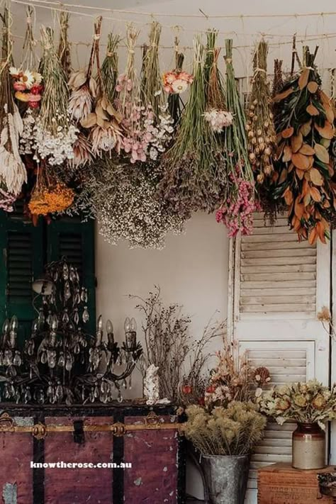 Dried Floral Decor, Flower Colouring, Flowers Australia, Forest Room, Reflection Activities, Gratitude Prompts, Rose Love, Dried Bouquet, Green Interior