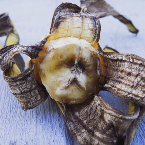 Rotten Fruit Photography, Rotting Fruit Photography, Bad Looking Food, Decaying Fruit Art, Rotting Fruit Art, Growth And Decay Photography, Decaying Fruit, Rotten Banana, Rotting Fruit