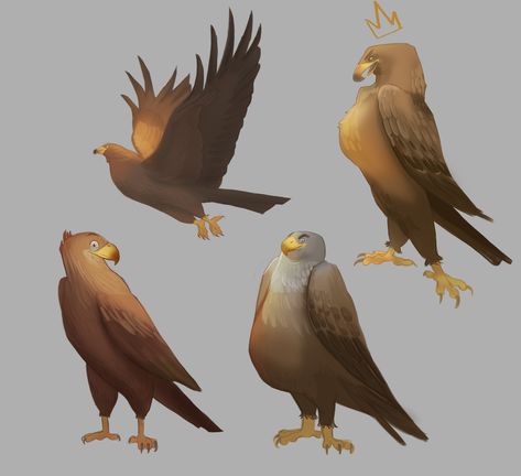 Eagle Concept Art, Eagle Character Design, Concept Art Character Design, Eagle Drawing, Animal Caricature, Art Character Design, Body Drawing Tutorial, Concept Art Character, Body Drawing