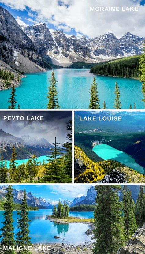 Peyto Lake, Alberta Travel, Amazing Places To Visit, Camping List, Canada Road Trip, Destination Voyage, To Infinity And Beyond, Future Travel, North America Travel