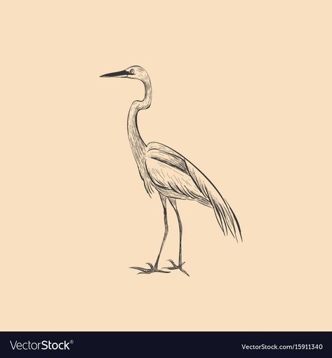 Egret Tattoo, Heron Tattoo, White Crane, Fantasy Tattoos, Piercing Tattoo, Body Mods, Get A Tattoo, Doodle Drawings, Art Drawings Simple