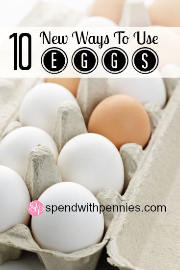 Eggs Are Not Just for Eating!  10 Great New Uses for Eggs!  Deter pests and even make SIDEWALK CHALK!!! Check Eggs For Freshness, Rocco Dispirito Recipes, Rocco Dispirito, Perfect Boiled Egg, Spend With Pennies, Protein Ball, Vegetable Drinks, Utila, Healthy Eating Tips