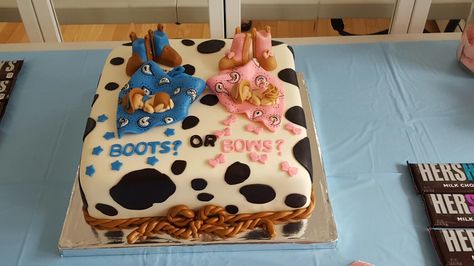 My Western Gender Reveal Cake! Western Gender Reveal Ideas, Western Gender Reveal, Country Gender Reveal, Cowboy Baby Shower Theme, Gender Reveal Food, Simple Gender Reveal, Cowgirl Cakes, Gender Reveal Baby Shower Themes, Baby Gender Reveal Party Decorations