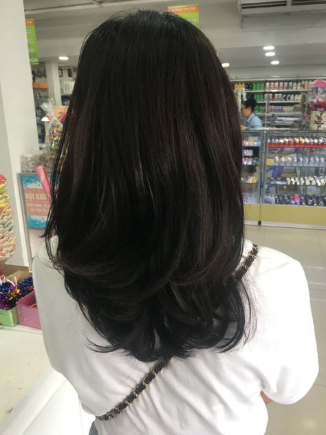 layered black hair Straight Medium Length Layered Hair, Black Hair Haircuts Medium, Cute Haircuts Black Hair, Haircut Black Hair Medium, Soft Layers Black Hair, Black Hair With Volume, Black Medium Hair With Layers, Dark Medium Layered Hair, Black Hair Shoulder Length Layers