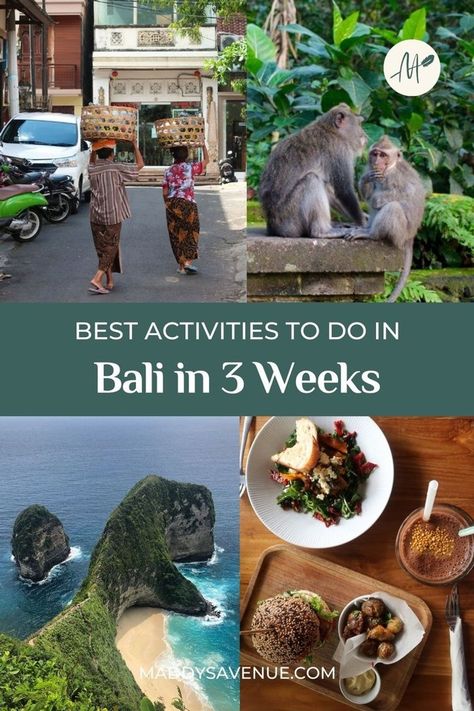 Unlock the magic of Bali with my ultimate Bali travel guide. Here, you'll find out the best activities to do in Bali in 3 weeks. Enjoy Bali's fascinating culture, abundant wildlife, and stunning black-sand beaches. Discover Bali's enchanting wonders with the cool things to do in Bali in this comprehensive guide. | Dream Vacations Destinations Bali Activities, Best Summer Vacations, Things To Do In Bali, Bali Itinerary, Summer Vacation Spots, Best Vacation Destinations, Bali Travel Guide, Cool Things To Do, Bali Island