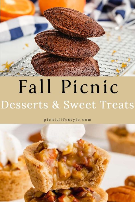 These fall picnic desserts and sweet treats are perfect for your next fall picnic. We've rounded up simple, healthy (& not so healthy) seasonal picnic sweets to celebrate the harvest season. #falldesserts #fallpicnic #picnicdesserts #fallpicnicideas Desserts For A Picnic, Picnic Dessert Recipes, Fall Picnic Food, Fall Finger Foods, Picnic Dessert, Apple Slice Recipe, Portable Dessert, Finger Food Desserts, Picnic Desserts