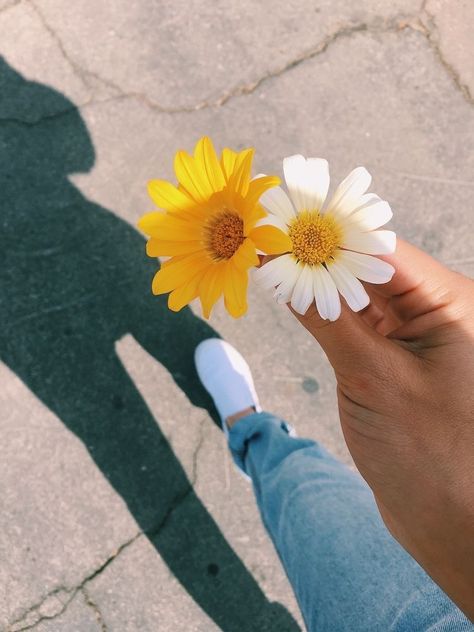 ✰ pinterest @jjuliakimm ✰ Artsy Pictures, Second Account, Sunflower Wallpaper, Profile Pictures Instagram, Tumblr Photography, Wallpapers Iphone, Yellow Aesthetic, Quotes Love, Aesthetic Images