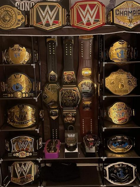 Ufc Belt, Wwe Intercontinental Championship, Wrestling Party, Nwa Wrestling, Wwe Championship Belts, Wwe Belts, Wrestling Belts, Wwe Logo, Belt Display