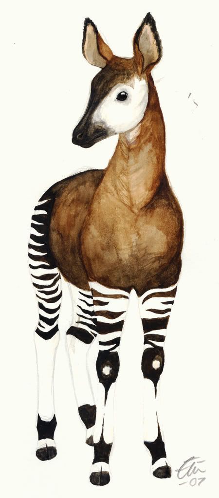 Animal References, Animal Sketches, Watercolor Animals, Giraffes, Amazing Animals, Zebras, Creature Design, Nature Animals, Animal Drawings