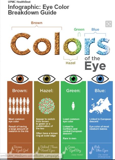 This shows rarety and how people have these eye colors, and how they show. Green Hazel Eyes, Hazel Eyes, Brown Eyes, Eye Color, Blue Eyes, Brown Color, Hair Makeup, Blue Green, Green