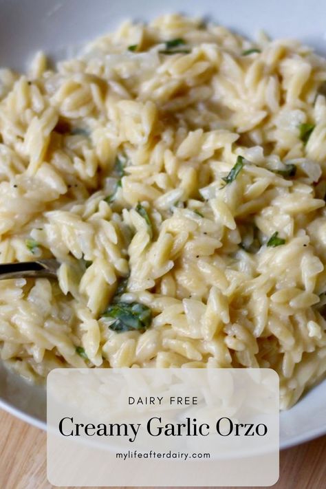 Dairy Free Orzo Recipes, Creamy Garlic Orzo, Garlic Parmesan Orzo, Garlic Orzo, Pasta Side Dish, Dairy Free Pasta Recipes, Gluten Free Dairy Free Dinner, Parmesan Orzo, Pasta Side