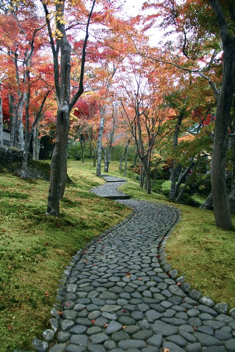 Stone paved path, autumn leaves, in Hakone, Japan by yohey23 Big Leaf Plants, Stone Garden Paths, Walkway Design, Magic Places, Walkways Paths, Path Ideas, Path Design, Garden Walkway, Stone Path