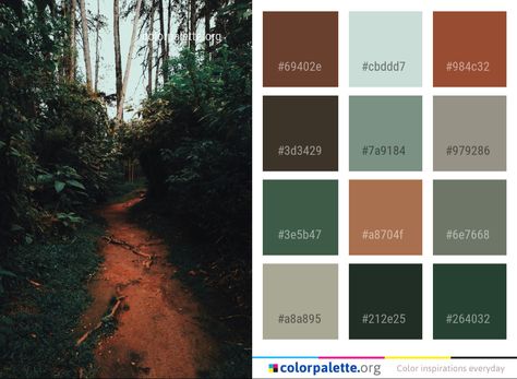 Tree Color Palette, Graphics Design Inspiration, Landscape Design Drawings, Colors Inspiration, Color Schemes Colour Palettes, Brand Color Palette, Color Palate, Complimentary Colors, Nature Tree