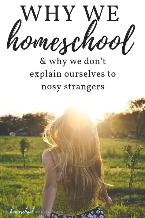 Why we homeschool... and why we don't explain ourselves to nosy strangers. A look into the pros and cons of homeschooling and coming to terms with what REALLY works for your family. Secular Homeschool, Second Grade Science, How To Homeschool, Homeschool Hacks, Travel Humor Quotes, Online Homeschool, Homeschool Education, Resource Room, Homeschool Inspiration