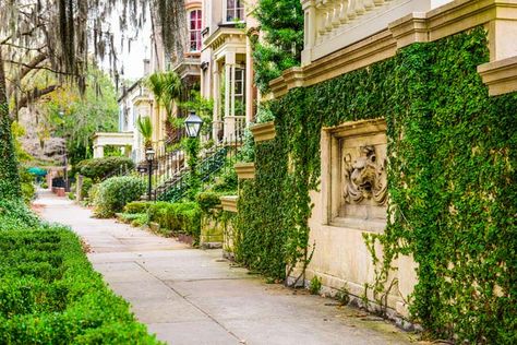 Even though Savannah is a Southern tourist hot spot, it unfortunately doesn’t seem to get as much attention as New Orleans. When you picture the antebellum South, Savannah is exactly what should pop into your head. Click through to read the full post! Savannah Historic District, Elderly Activities, Southern Cities, Exotic Places, Historic District, Savannah Georgia, Sapporo, Savannah Ga, Travel Lover