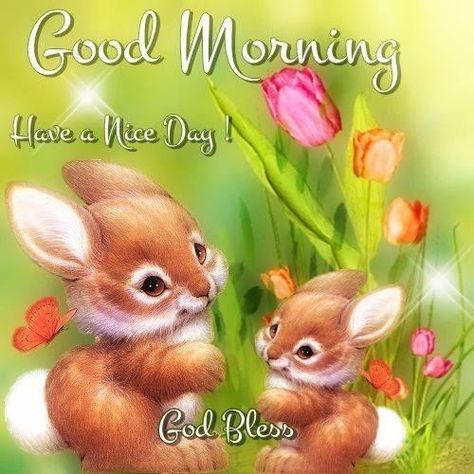 Good Morning Bunnies Pictures, Photos, and Images for Facebook, Tumblr, Pinterest, and Twitter Happy Easter Quotes, Good Evening Greetings, Daily Greetings, Easter Quotes, Funny Good Morning Quotes, Morning Morning, Morning Thoughts, Cute Good Morning, Morning Inspiration