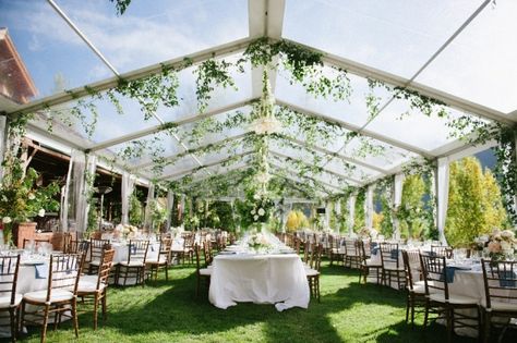 Bell and Ford l Carats & Cake Reception Decor, Club Wedding, Party Inspiration, Bluebird, Reception Decorations, Aspen, Blue Bird, Picture Perfect, Design Details