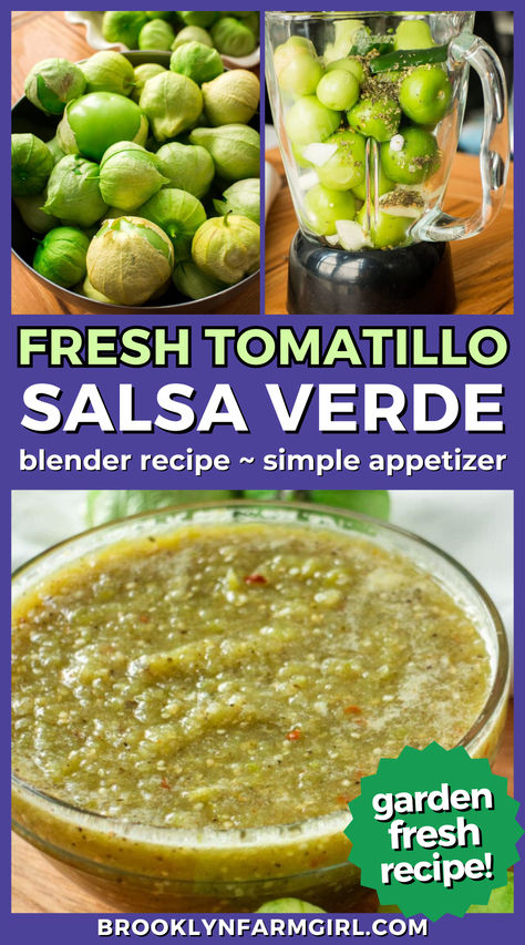 tomatillos filling up a blender over a closeup a clear glass bowl of green salsa Mexican Appetizer, Blender Recipe, Simple Appetizer, Tomatillo Salsa, Salsa Verde, Taco Tuesday, Tortilla Chips, Mexican Food, Appetizer